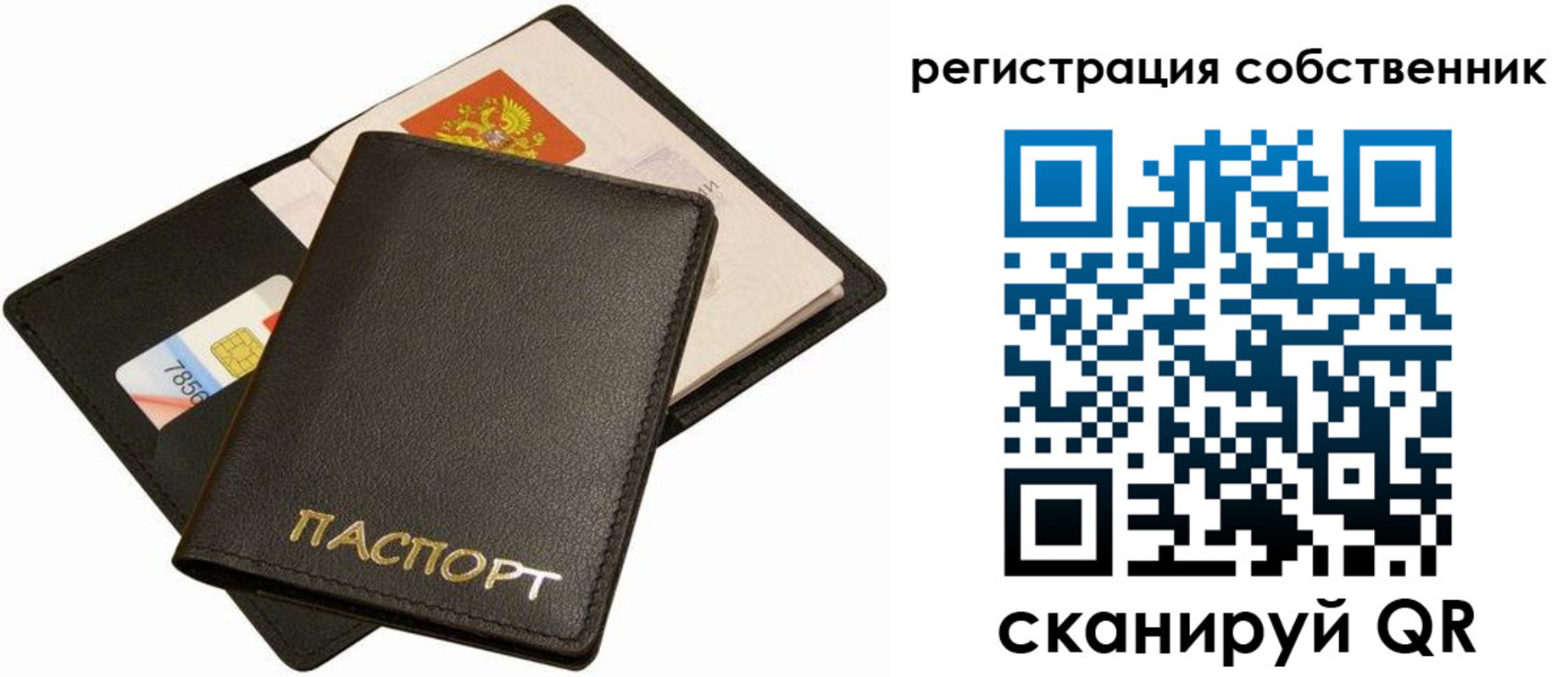 прописка паспорт в Полярных Зорях